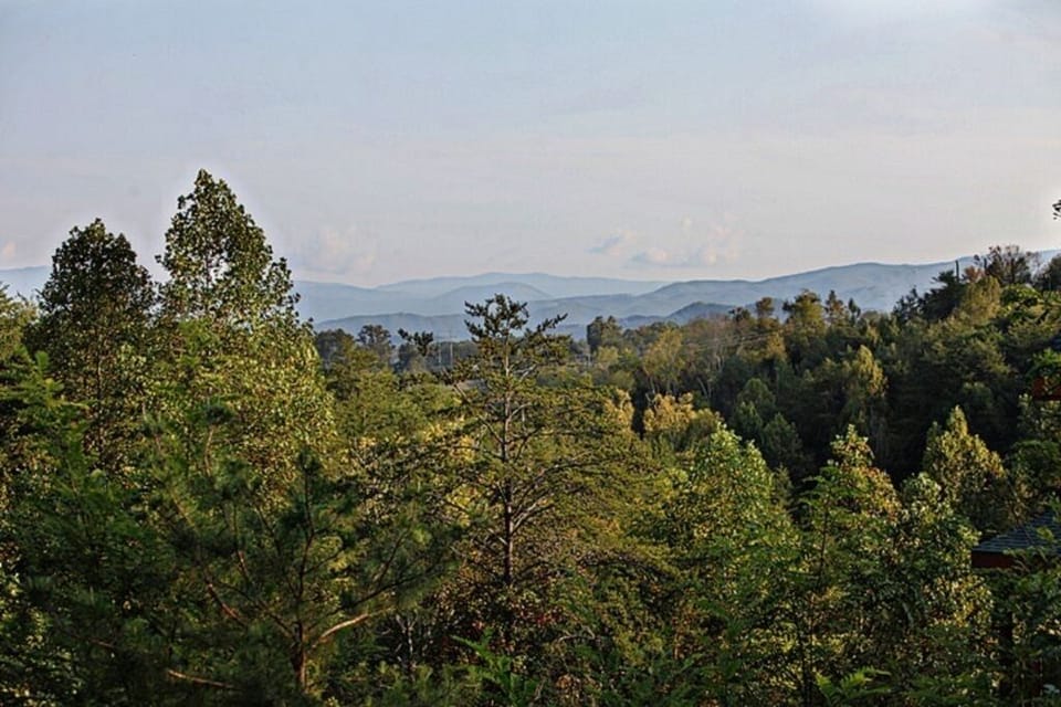 View from back porch.
