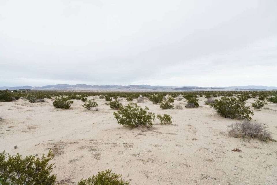 5 acres of with mountain views. 20 acres of government land immediately to the east, 5 acres of government land immediately to the south. Only neighbor nearby is about 150 yards to the north.