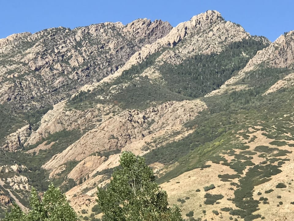 View from front yard