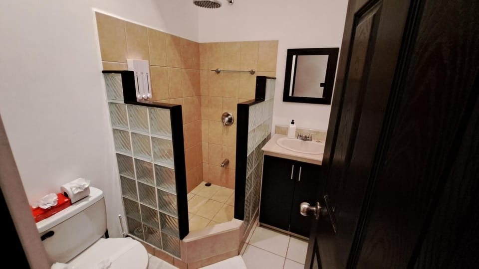 Master full bathroom with rain shower head and soap dispenser