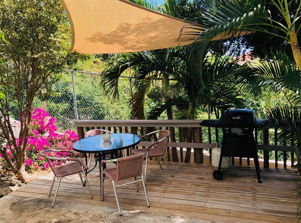 Private patio with BBQ, Palm trees, Bougainvillea, Hibiscus, and Mango tree
