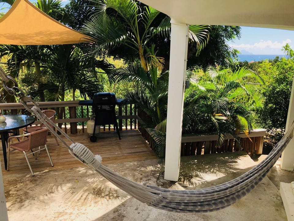 Your private outdoor space with hammock, shade, table & chairs, and BBQ
