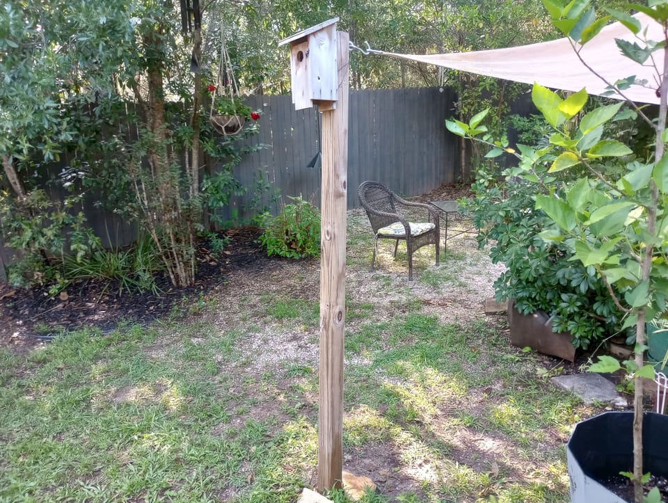 private koi pond yard
