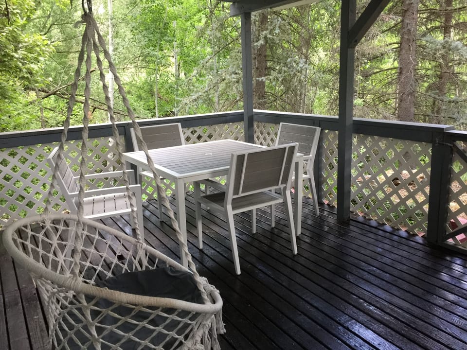 Covered back porch