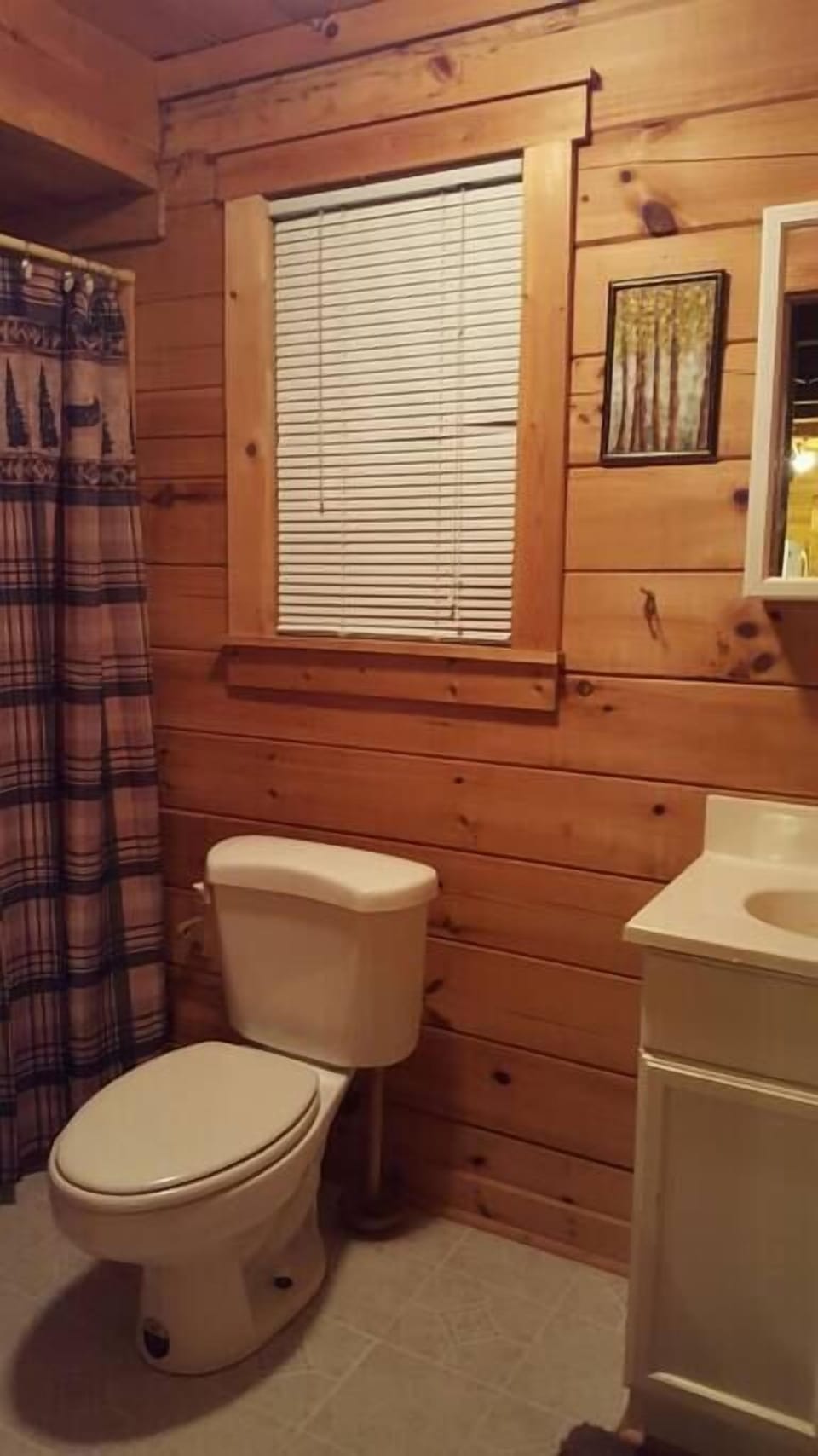 Down stairs bathroom