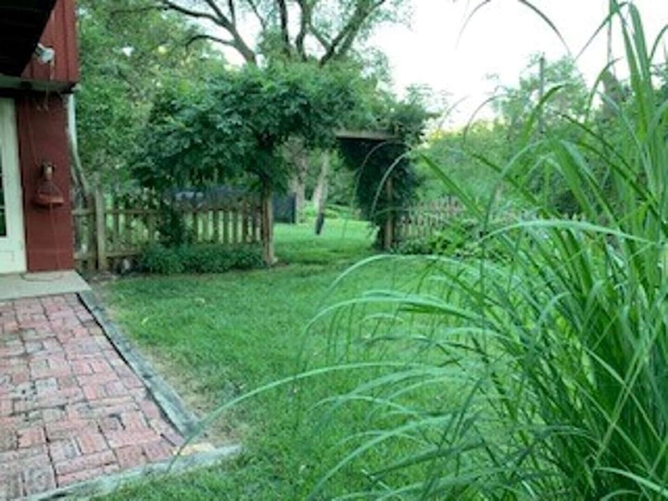 Arbor in springtime 