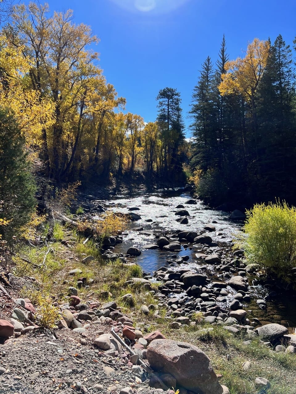 Roaring Fork River in the Fall