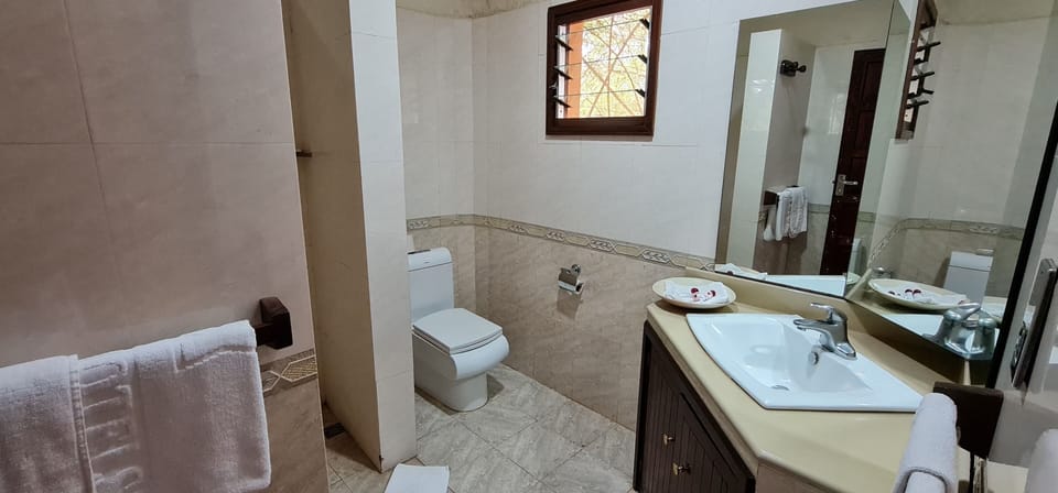 Hair dryer, slippers, towels, toilet paper