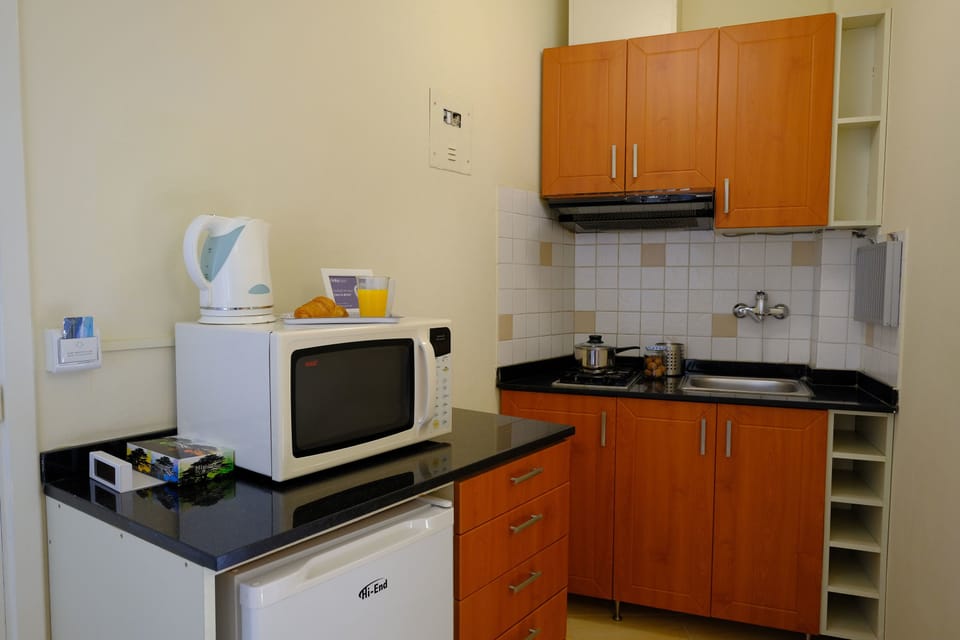 Mini-refrigerator