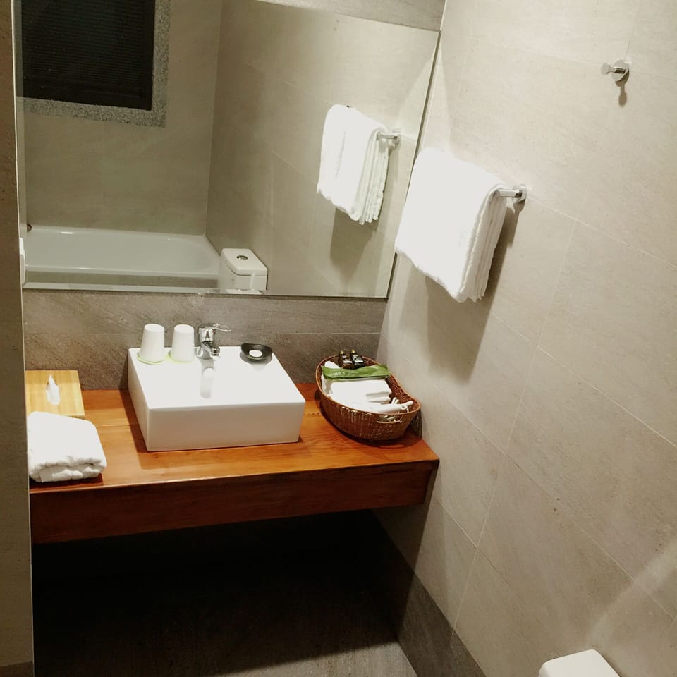 Shower, free toiletries, hair dryer, slippers