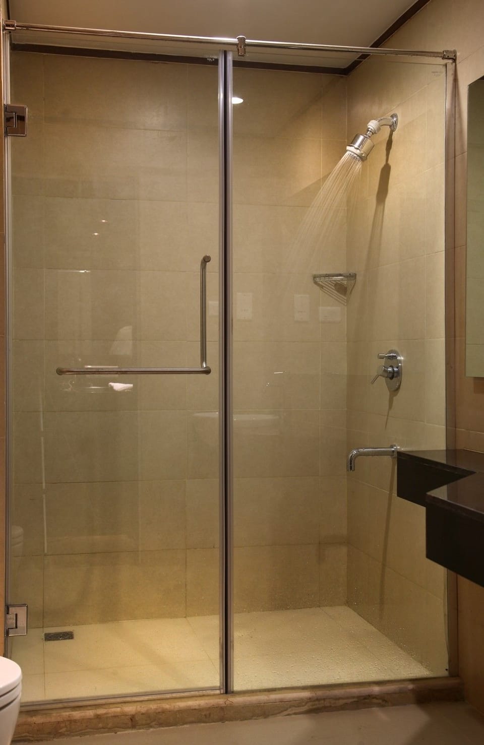 Executive Room | Bathroom shower