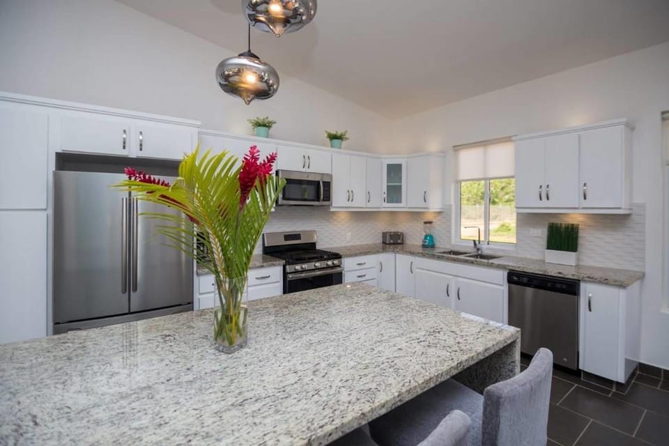 House (3 Bedrooms) | Private kitchen | Fridge, oven, stovetop, dishwasher