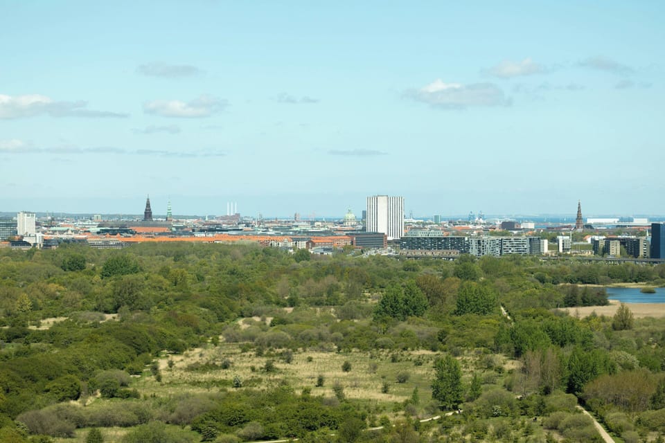 View from room