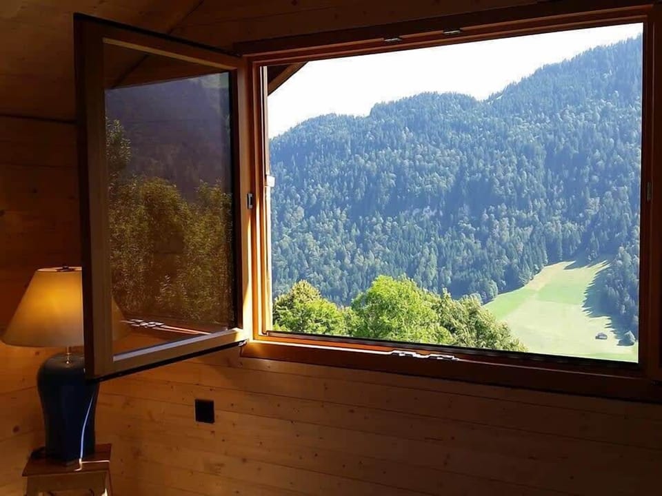 window views 
