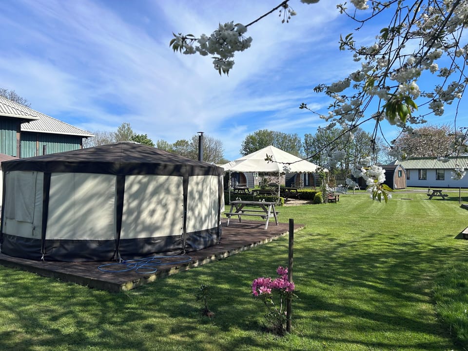BBQ/picnic area