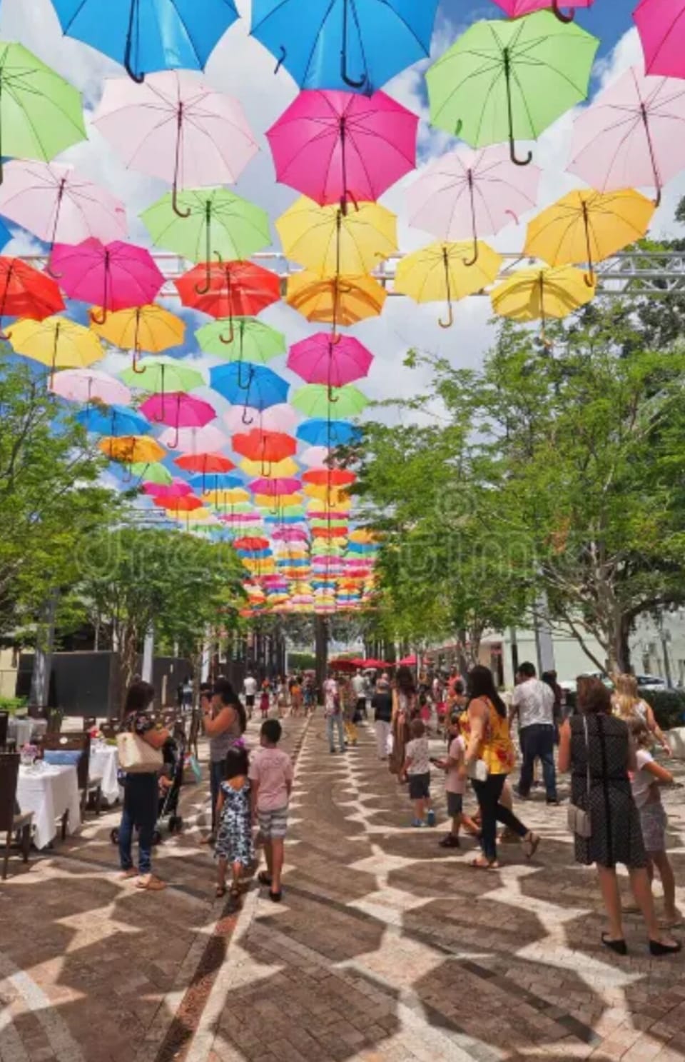 Giralda ave, internacional restaurants, 3 blocks away