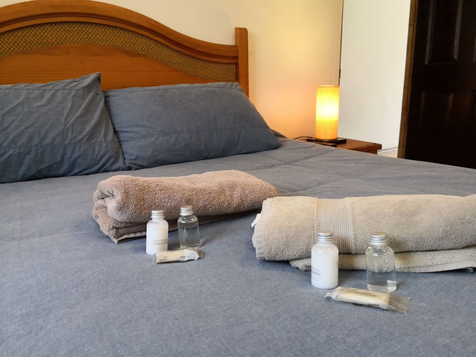 Basic Double Room, Shared Bathroom | Iron/ironing board, free WiFi, bed sheets