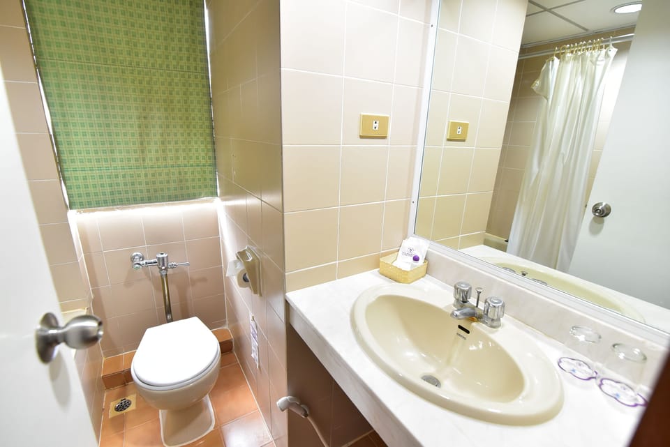 Shower, free toiletries, hair dryer (on request), towels