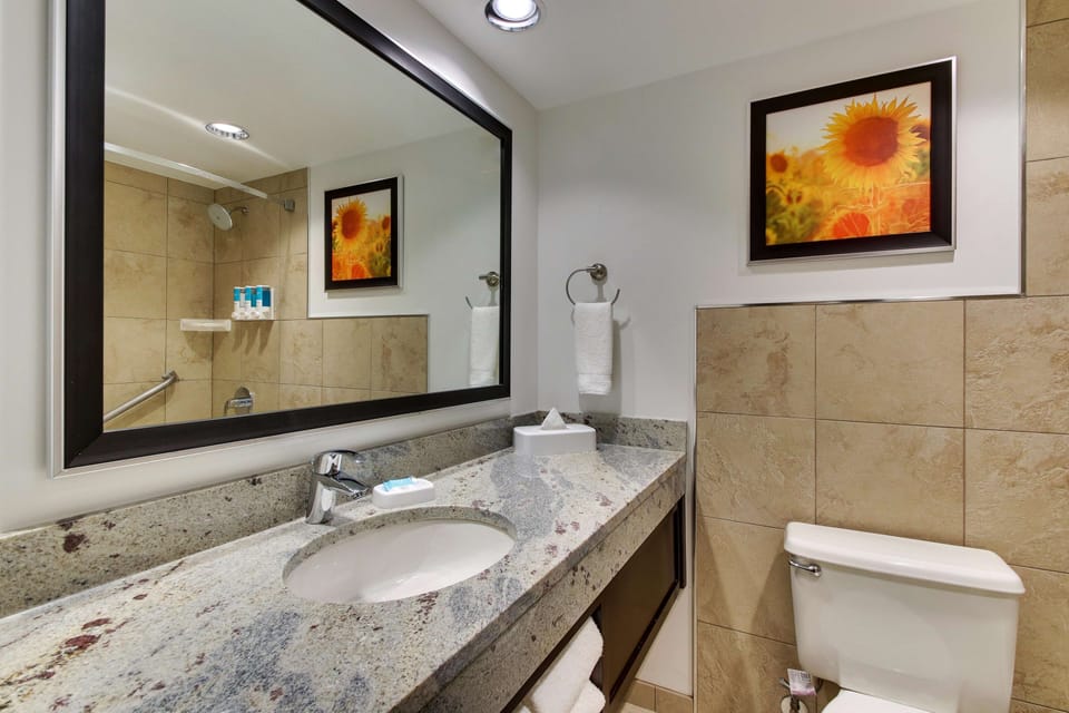 Combined shower/tub, free toiletries, hair dryer, towels