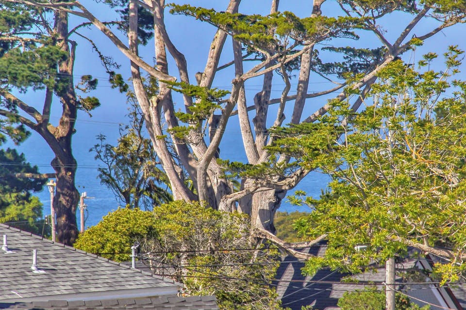 Peeks of Monterey Bay