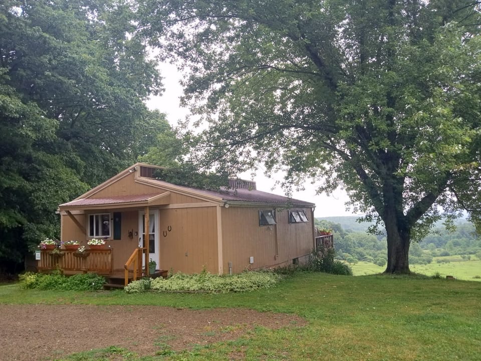 Back of cottage