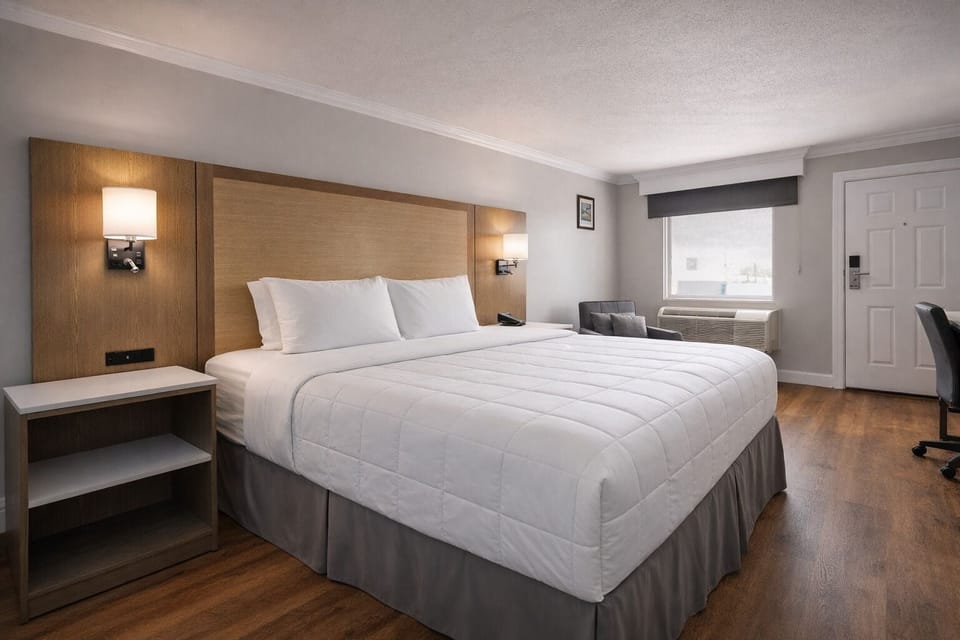 1 King Size Bed, Non Smoking | Desk, iron/ironing board, free WiFi, bed sheets