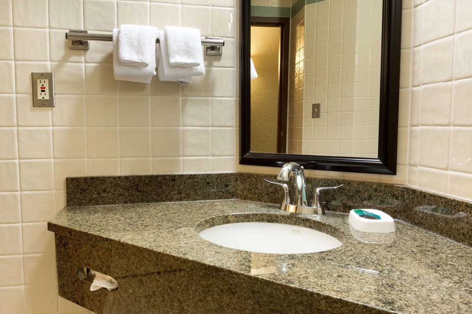 Combined shower/tub, free toiletries, hair dryer, towels