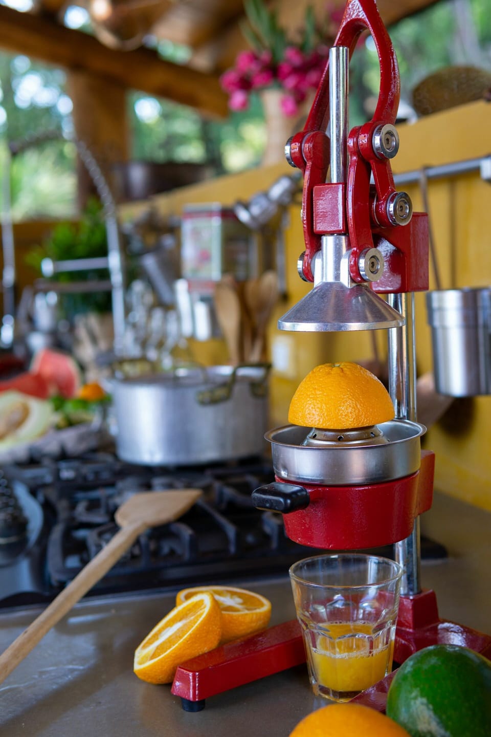 Food, Ingredient, Produce, Fruit, Orange, Small Appliance, Natural Foods