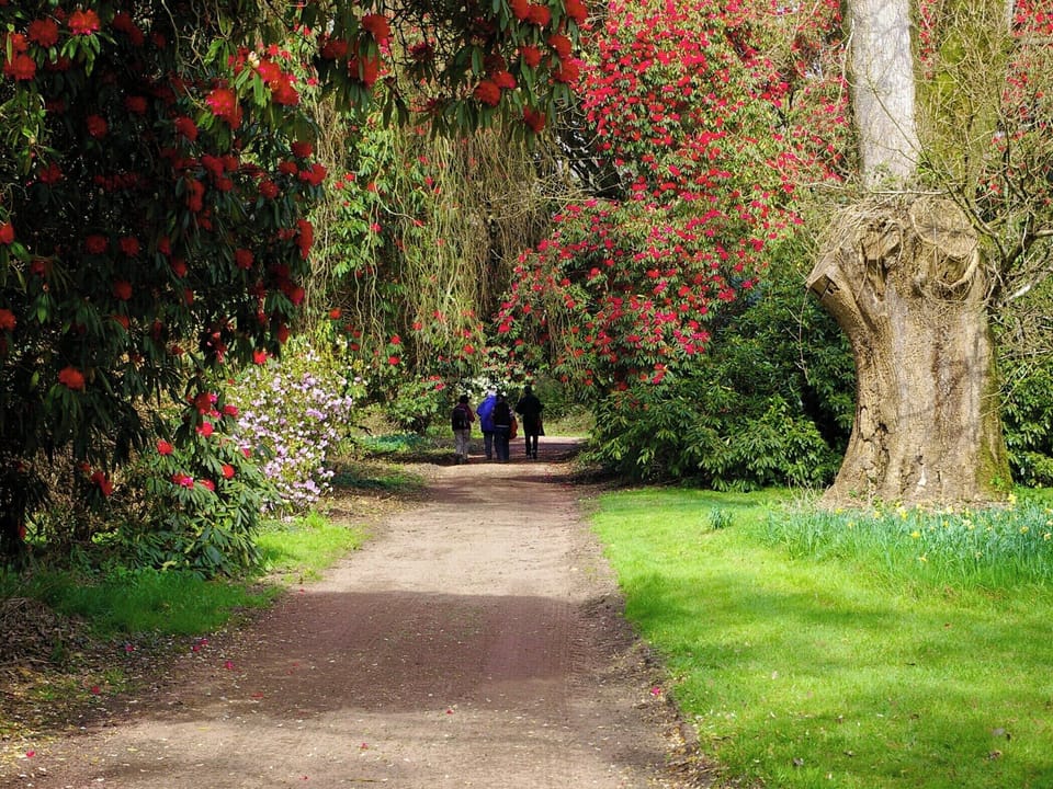 Main Gravel Walk | Shore Cottage, Garlieston, near Newton Stewart
