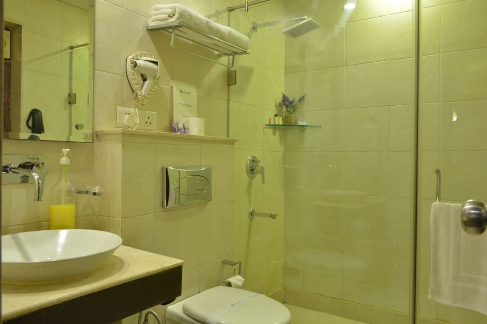 Deluxe Suite | Bathroom | Shower, free toiletries, hair dryer, bathrobes