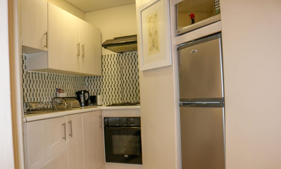 Exclusive Apartment | Private kitchen | Fridge, microwave, oven, stovetop