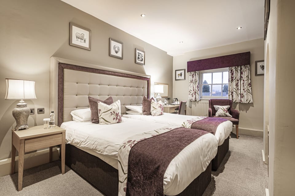 Superior Twin Room | Individually decorated, individually furnished, desk, laptop workspace