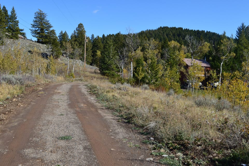 Drive way back to cabin 