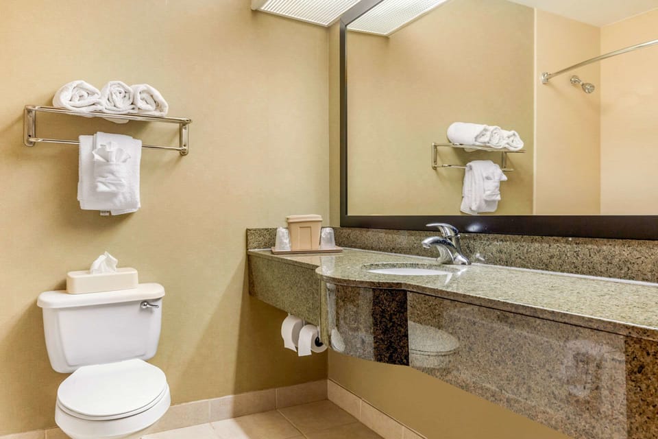 Suite, Non Smoking | Bathroom | Combined shower/tub, free toiletries, hair dryer, towels