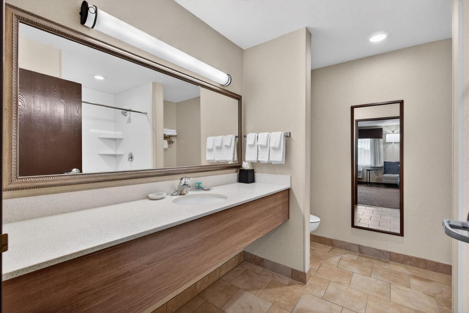 Executive Room, 1 King Bed, Non Smoking, Refrigerator | Bathroom | Free toiletries, hair dryer, towels