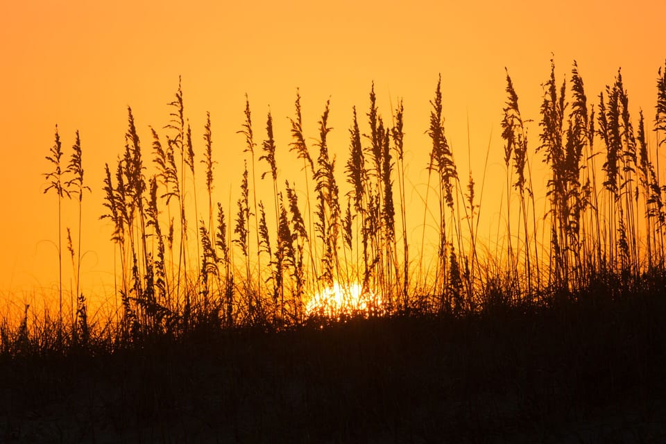 World-Class Sunsets & Sunrises!

