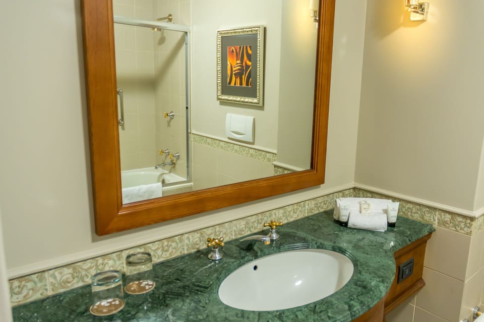 Combined shower/tub, rainfall showerhead, free toiletries, hair dryer