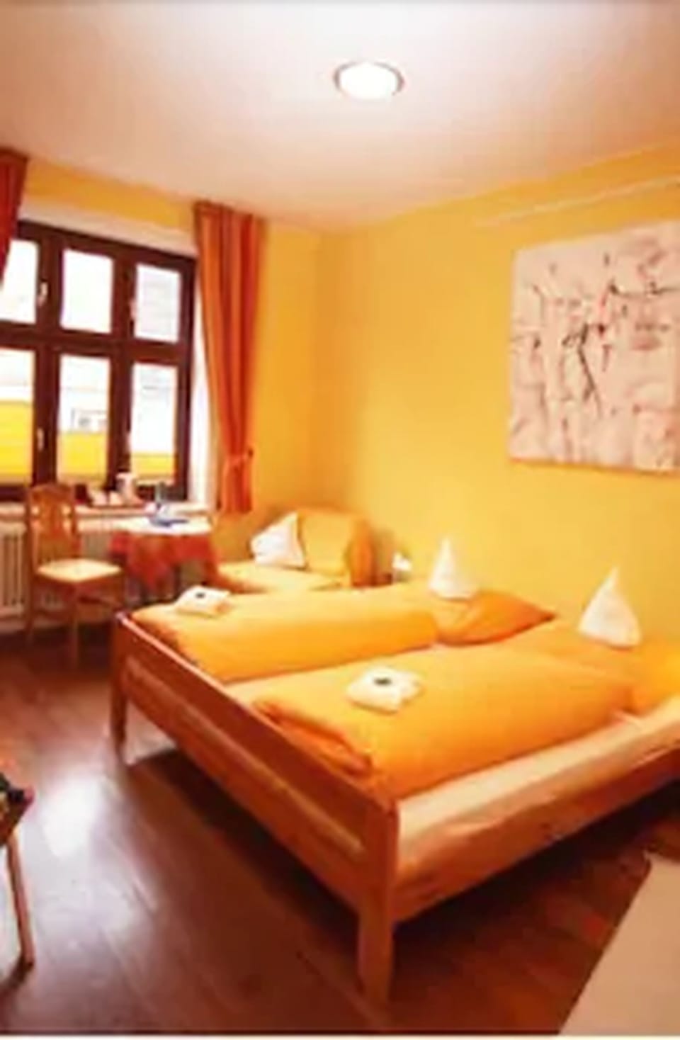 Hypo-allergenic bedding, individually furnished, desk