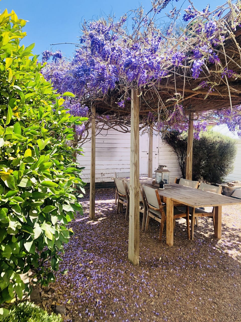 Outdoor dining area with bbq.  Dog friendly.