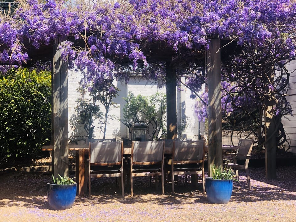Outdoor dining area with bbq.  Dog friendly.