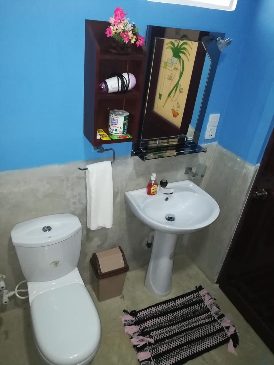 Shower, rainfall showerhead, bathrobes, bidet