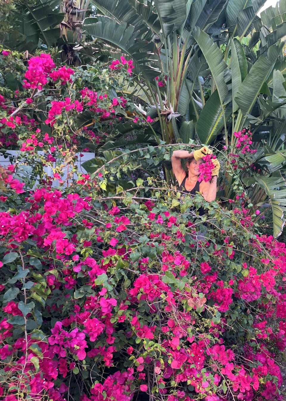 Tropical back yard w/ beautiful colors in the landscape.  Yes that’s me in yard