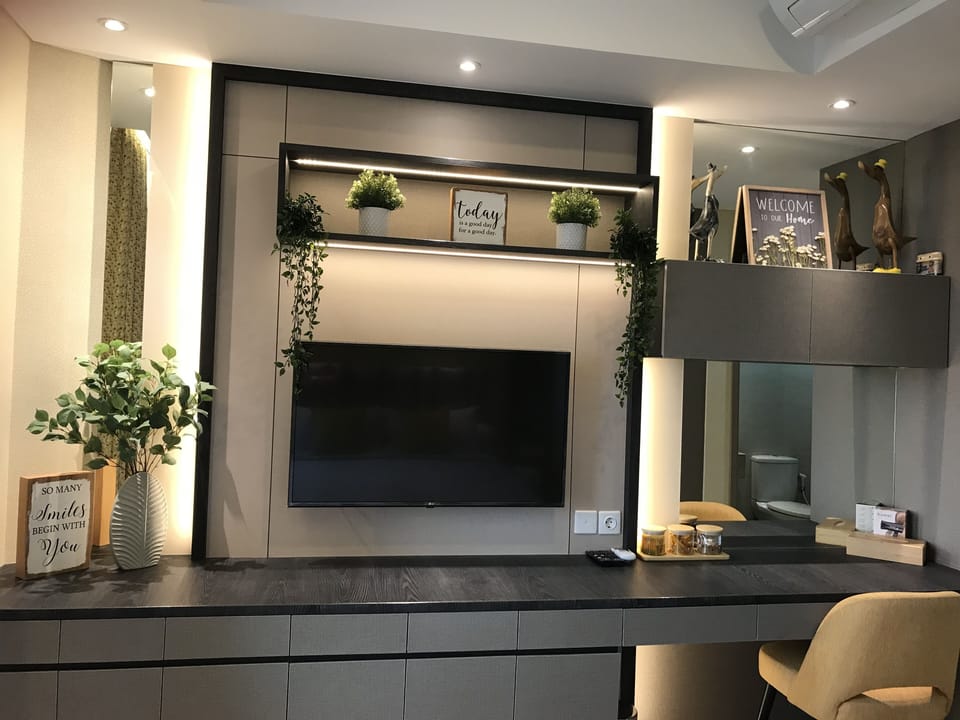 Television