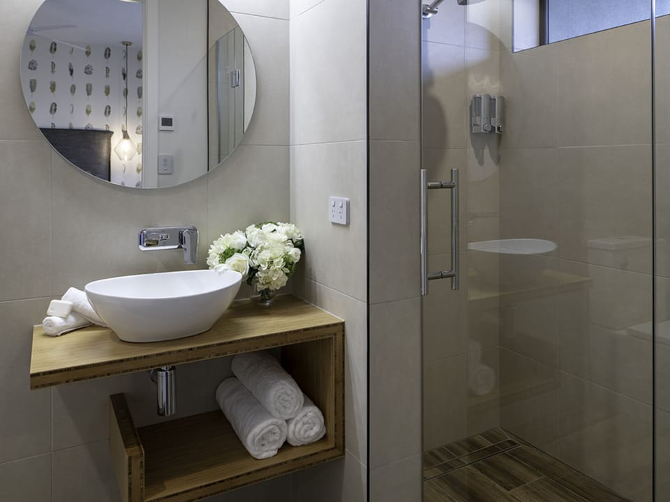 Shower, hair dryer, bathrobes, towels