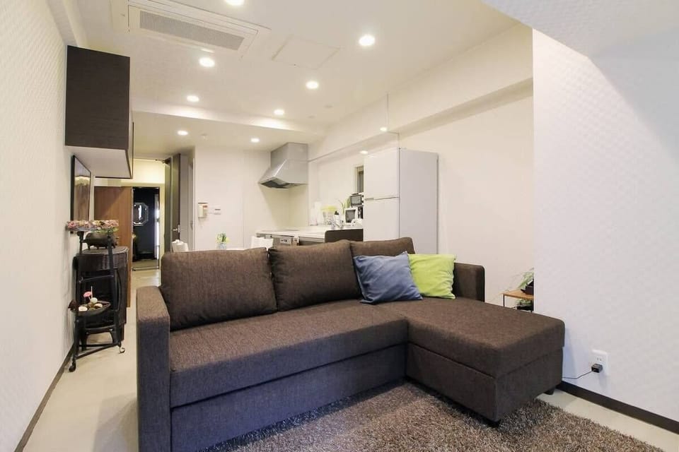 Living Area / Sofa Bed