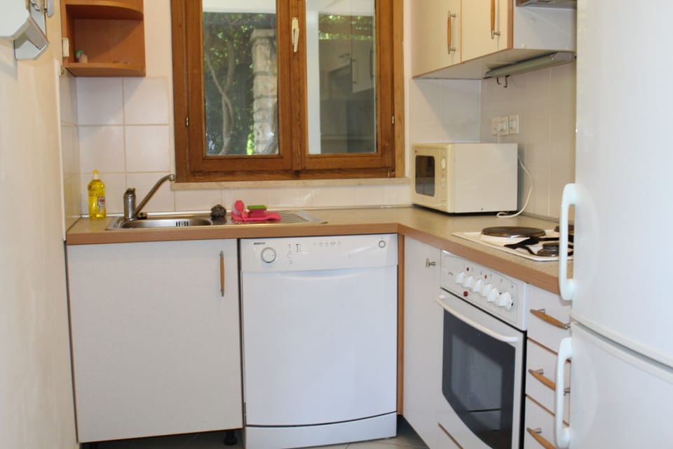 Apartment, 1 Bedroom | Private kitchen | Fridge, microwave, oven, stovetop