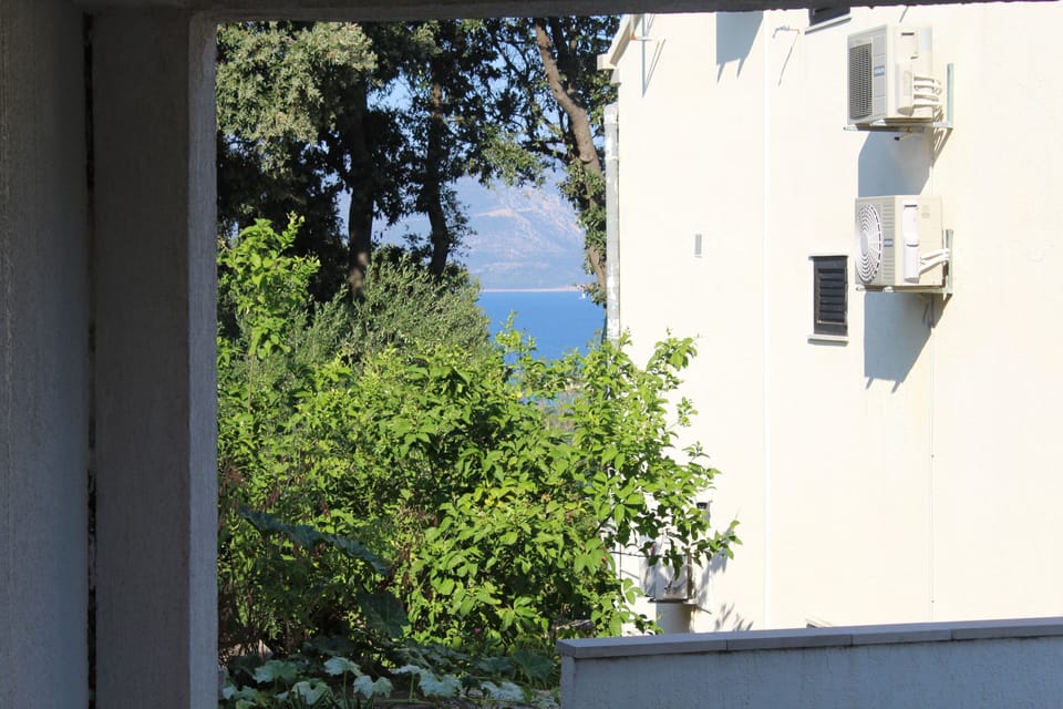 Apartment, 1 Bedroom | View from room