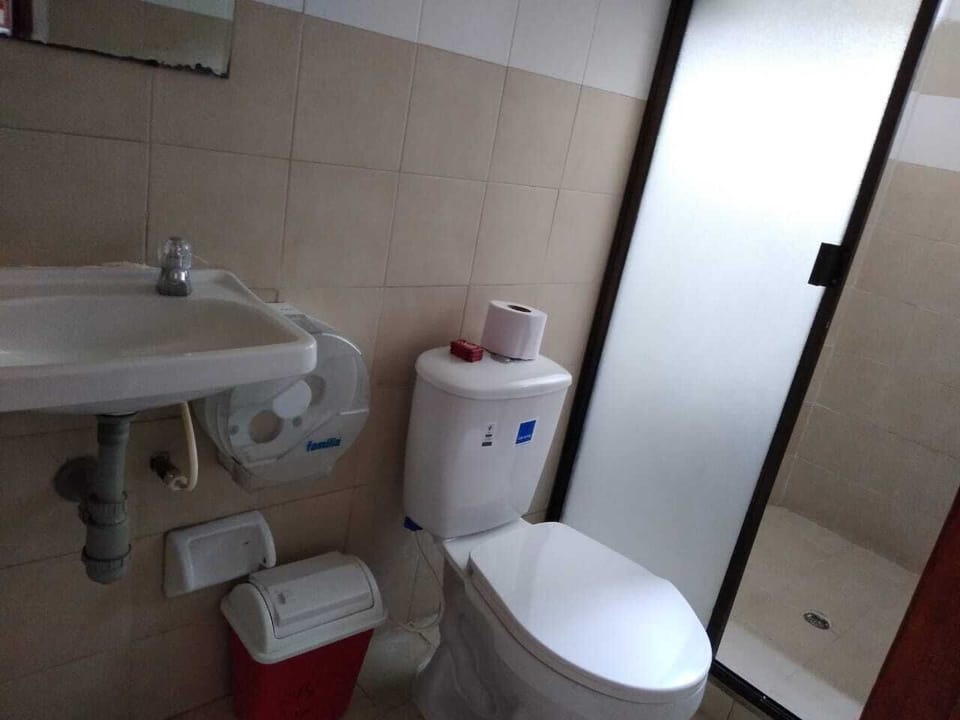 Shower, towels, soap, shampoo