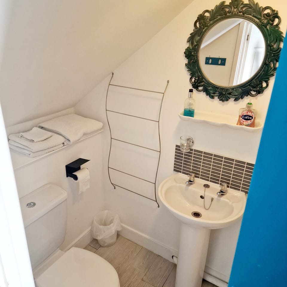 Double Room (Large) | Bathroom | Shower, free toiletries, hair dryer, towels