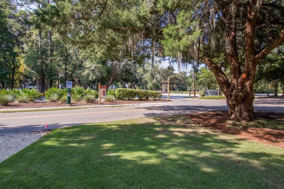 View from the front yard to the river.